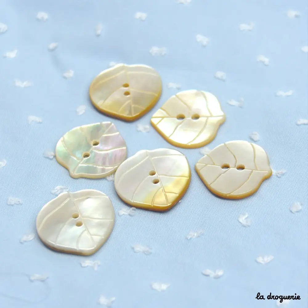 La Droguerie - 2 Hole Shell Button - 21mm - Troca Lilac Leaf