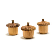Degen - Acorn Containers