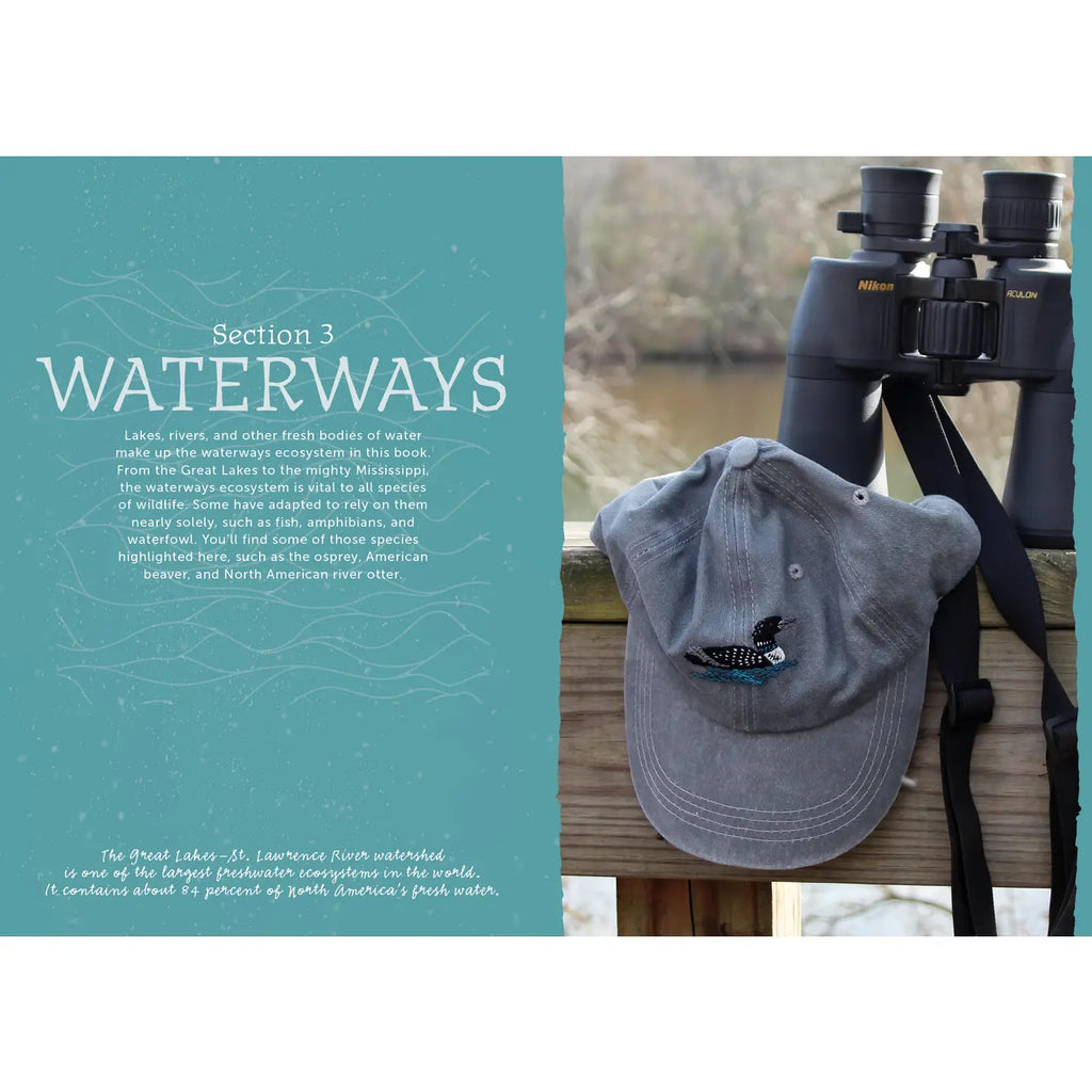 The Field Guide To Embroidery - Jessica Kemper