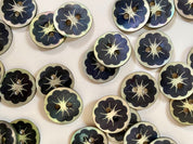 Textile Garden - Shell Flower Buttons - 12mm - Various Colors