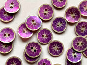 Textile Garden - Shell Flower Buttons - 12mm - Various Colors