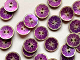 Textile Garden - Shell Flower Buttons - 12mm - Various Colors