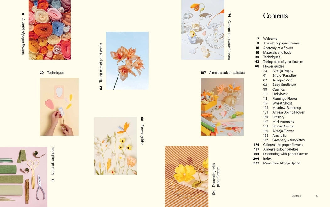 Paper Flowers - Sine Finne Frandsen and Sara Finne Frandsen