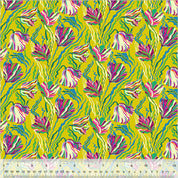 Windham - Botanica - Tulip - Chartruese