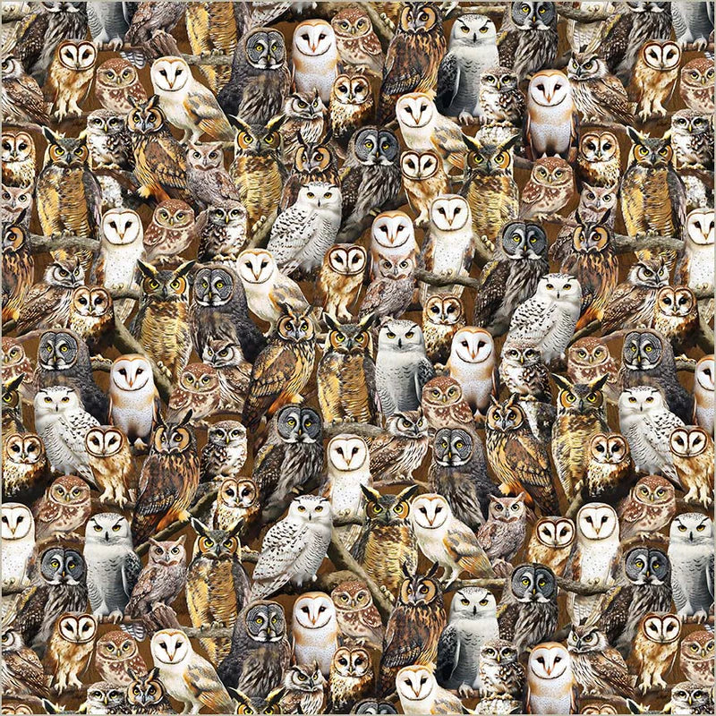 Pattern of various owl illustrations in different poses and colors.