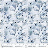 SALE-Windham - Wild Kingdom - Polar White