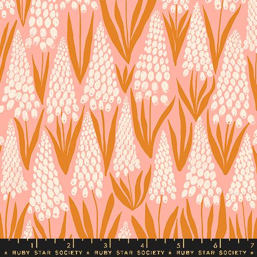 Ruby Star Society - Endpaper - Bashful