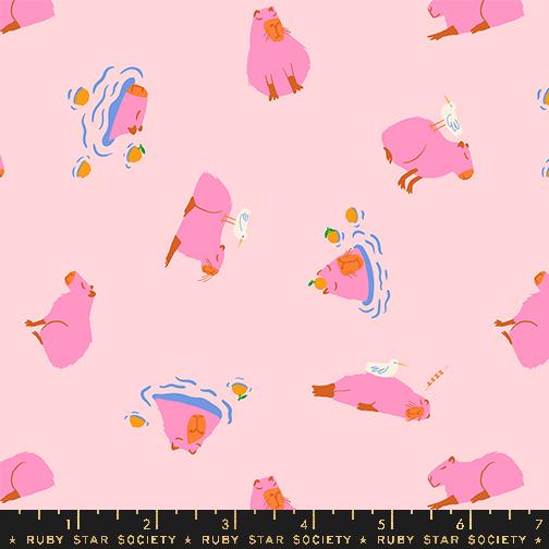 Pink Capybara with orange muzzles and paws on a paler pink background