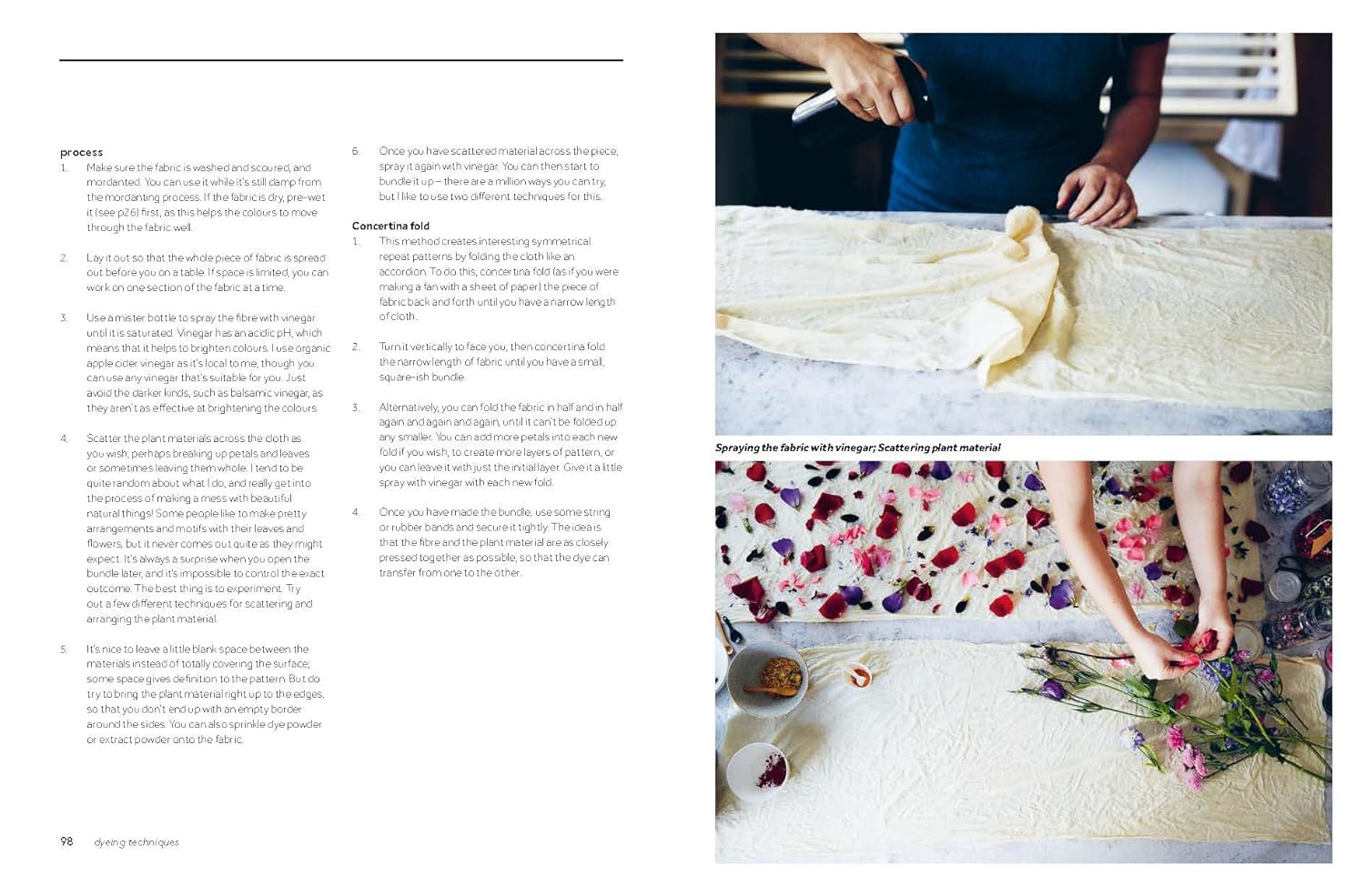 Botanical Dyes - Babs Behan