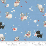 SALE-Moda - Funny Valentine - Cats - Sky