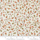 Moda - Bug Collector - Meadow - Cloud