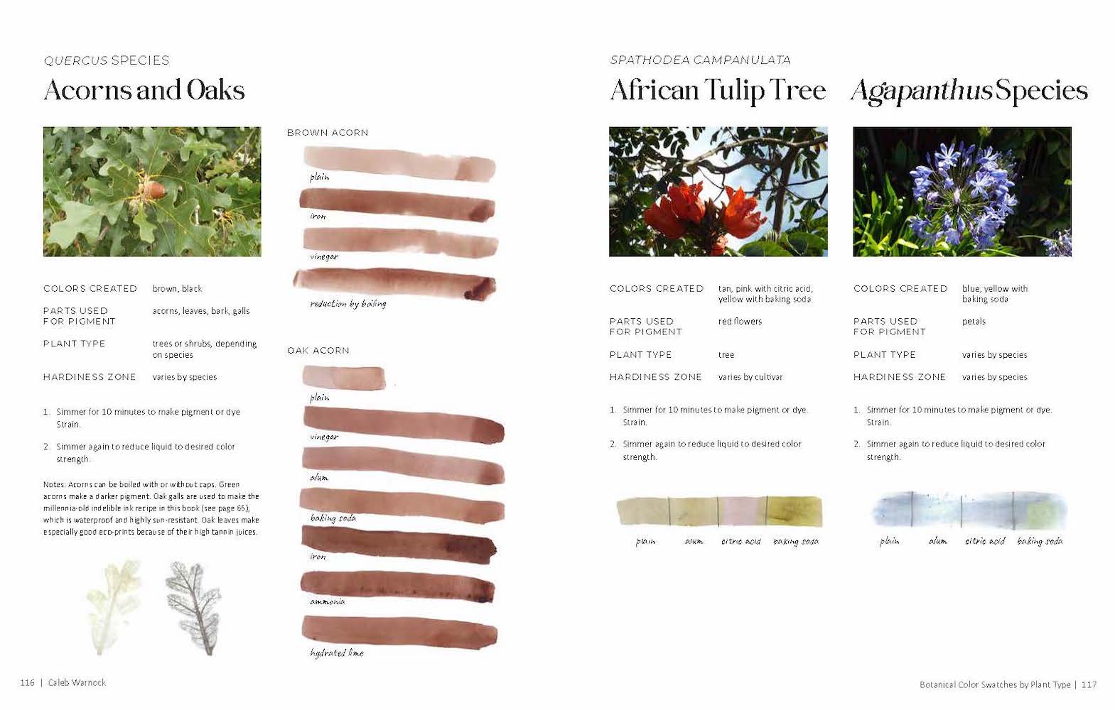 1000 Botanical Colors - Caleb Warnock
