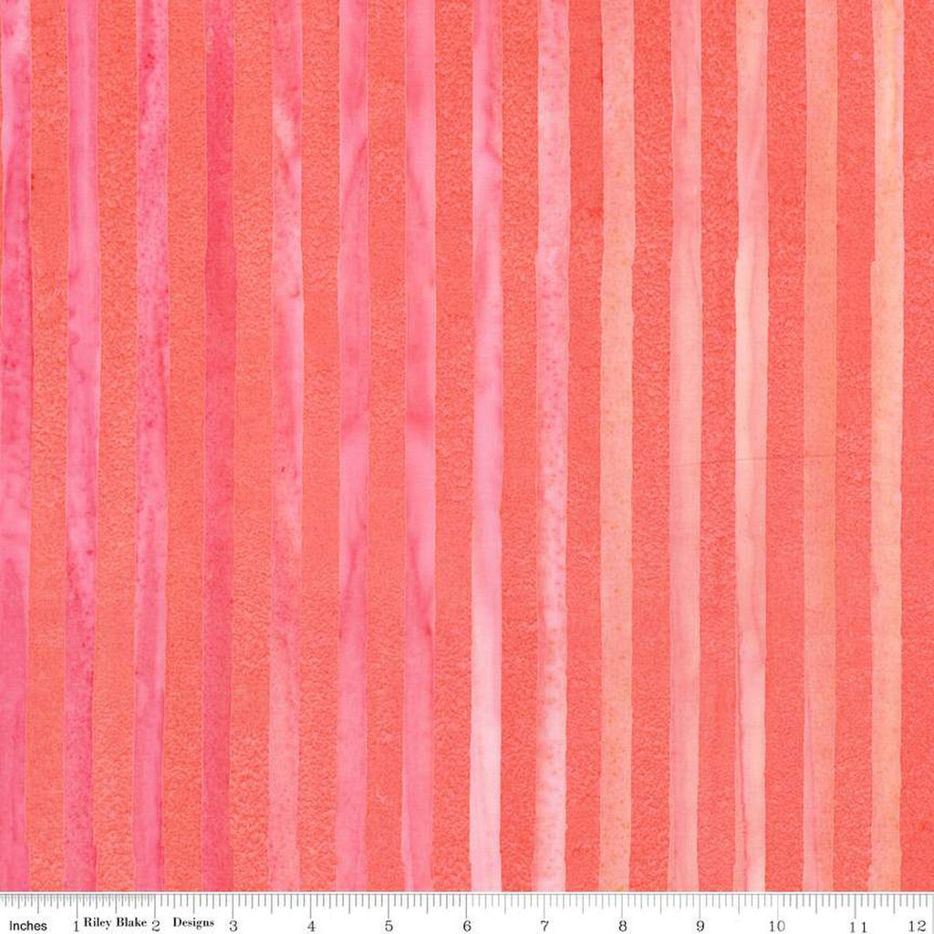 Riley Blake - Batik - Elementals - Get in Line - Salmon Run