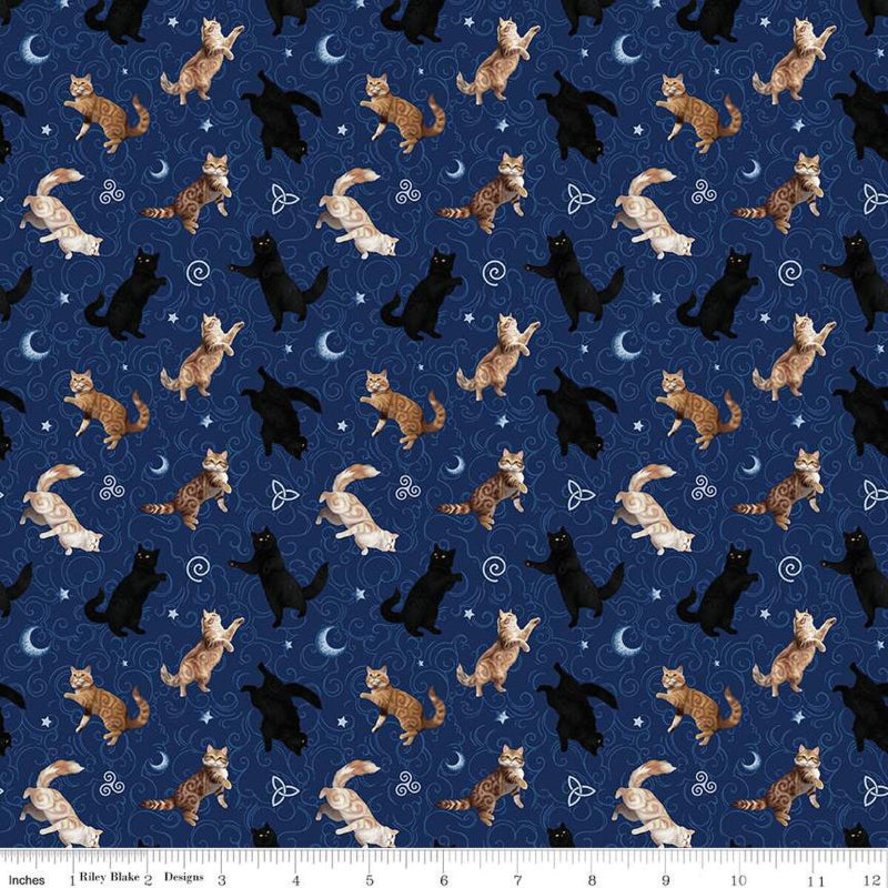 Riley Blake - Celtic Cats - Cats - Navy