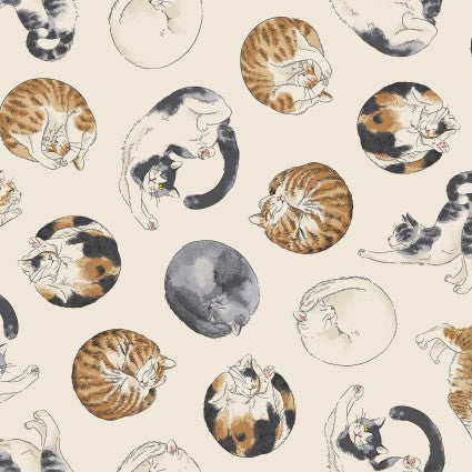 Cosmo - Cotton Oxford - Animals and Birds - Cats