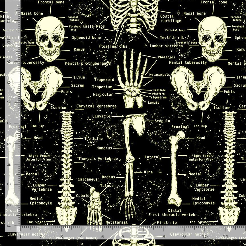 Black quilting cotton fabric with glow-in-the-dark anatomical skeleton diagram with labels.