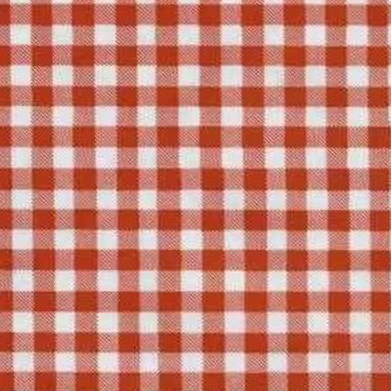 oil cloth gingham red