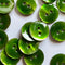 Green buttons with two holes on a white background