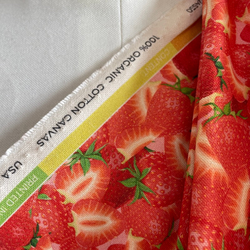 Paintbrush Studio - 6.8 Ounce Organic Cotton Canvas - Homestead Harvest - Strawberries