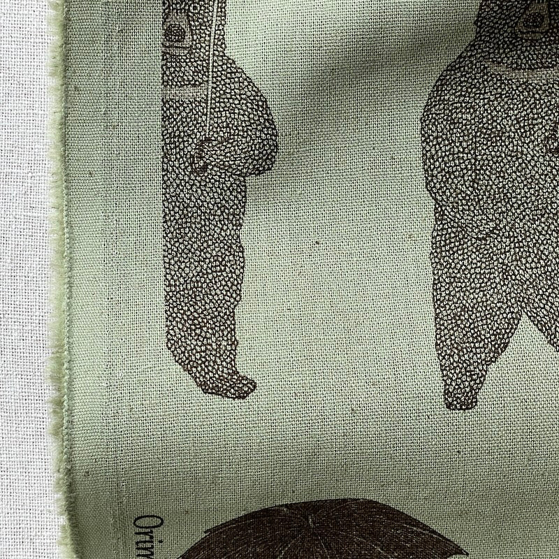 Koizumi - Lightweight Cotton Linen Canvas - Bears with Umbrellas - Sage