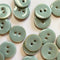 Light green buttons with two holes on a white background