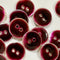 Close-up of purple buttons with a glossy finish on a white background