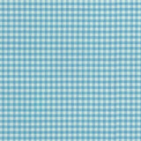 Robert Kaufman - Carolina Gingham - Pond - 1/8" Check