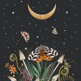 Dear Stella - Moth to a Flame - Panel