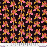 Free Spirit - Springtime Splendour - Protea Majestica - Licorice
