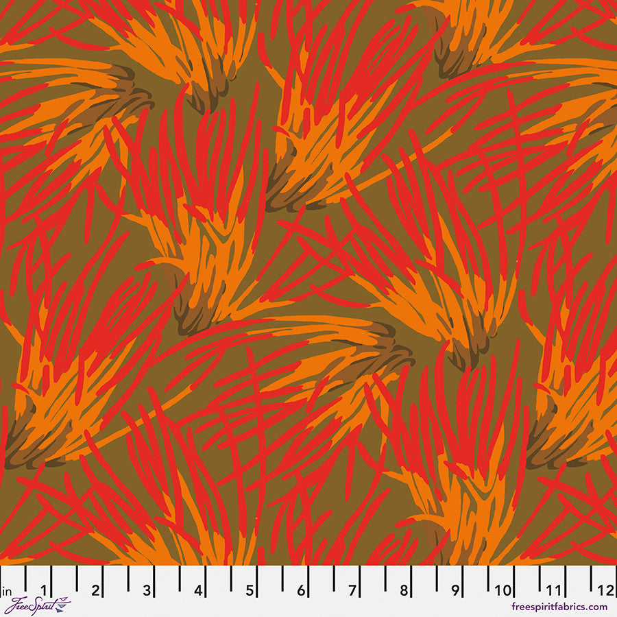 Fungi that looks like a firework in shades of red and orange on an olive green background