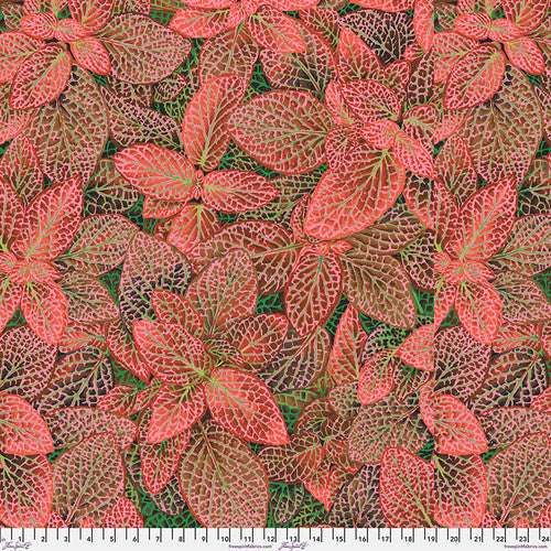 Free Spirit - Kaffe Fassett - Fittonia - Red