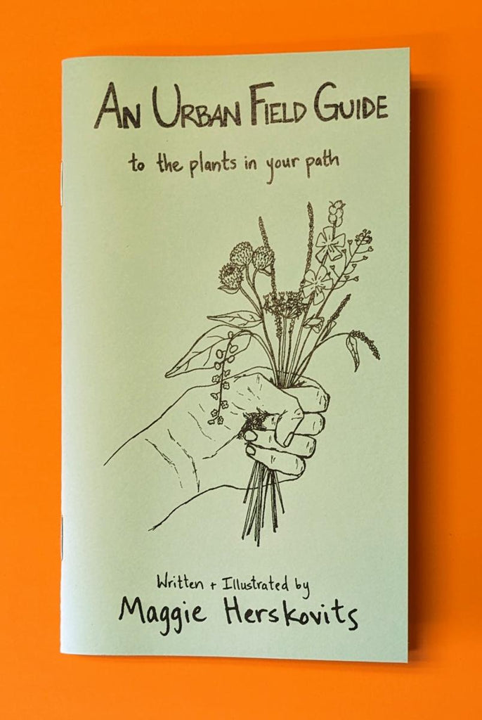 An Urban Field Guide to the Plants in Your Path - Maggie Herskovits