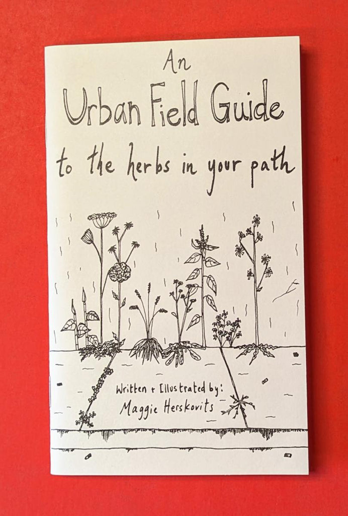 An Urban Field Guide to the Herbs in Your Path - Maggie Herskovits