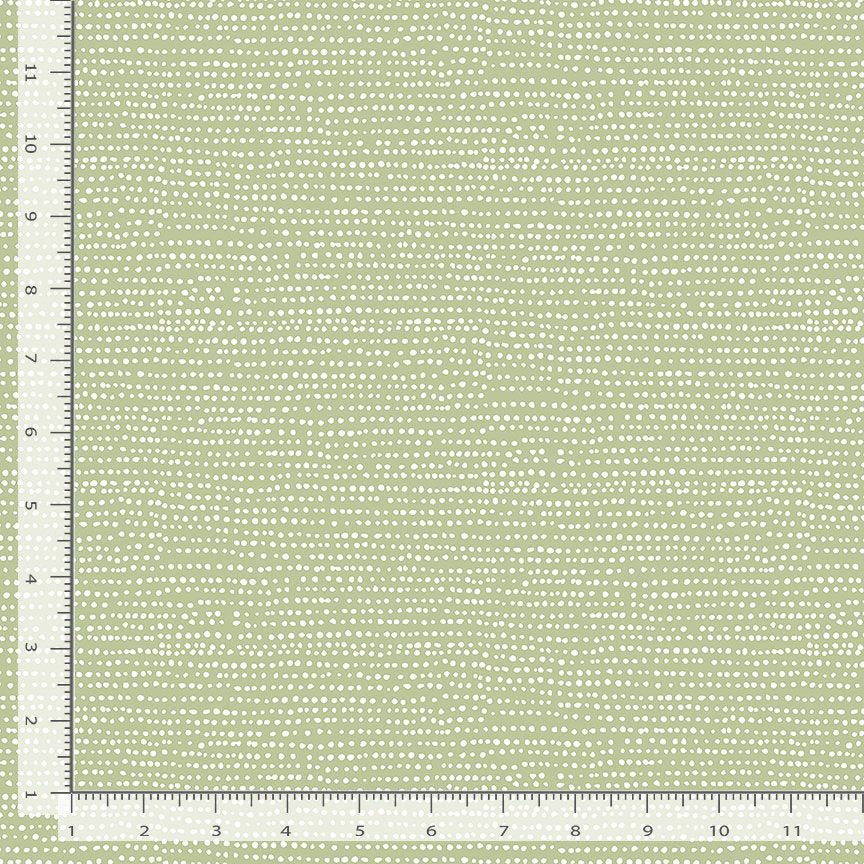 STELLA-1150-REED.jpg
