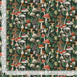 Dear Stella - Moth to a Flame - The Fungi Kingdom - Forest