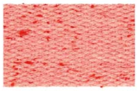 Speckle Webbing - 30mm - Various Colors