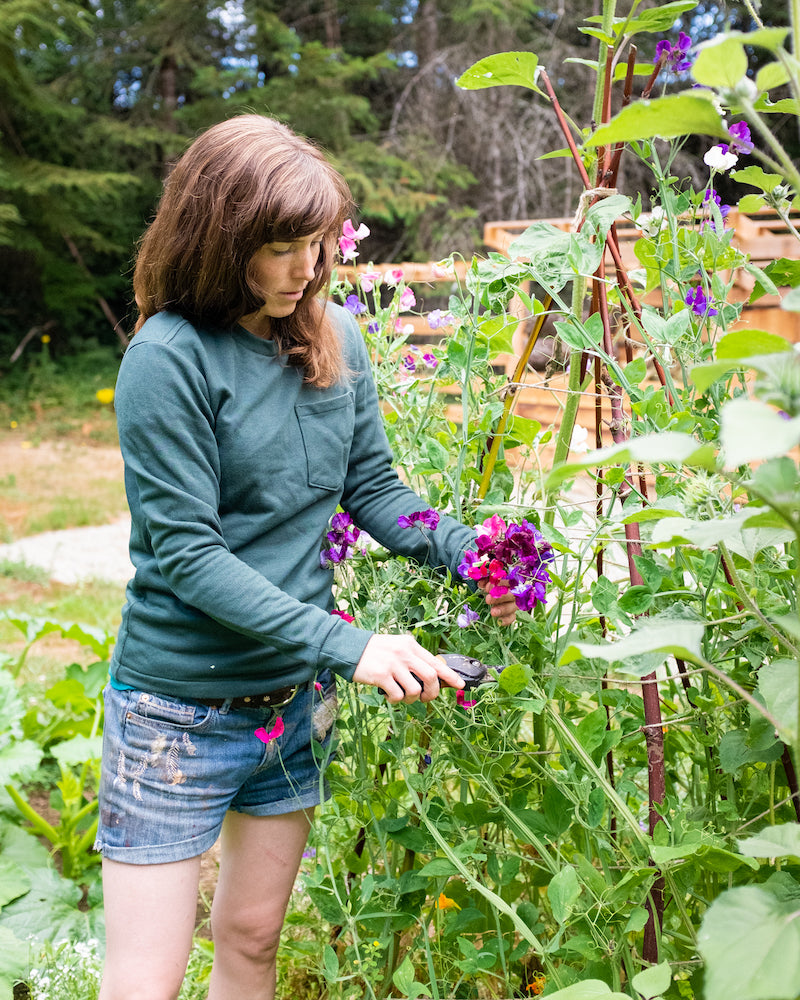 Thread Theory - Woodley Tee - Women's Sizing - PDF and Printed Pattern