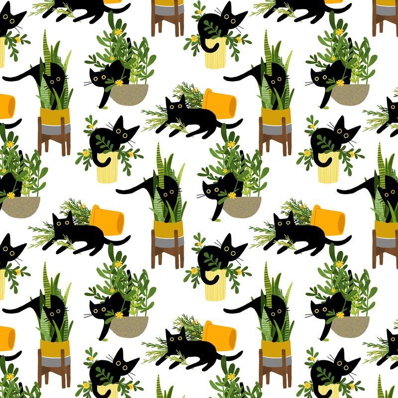 Dear Stella - Wide Back, 108" - Just Purrlanted