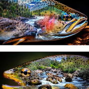 Hoffman - Trout About