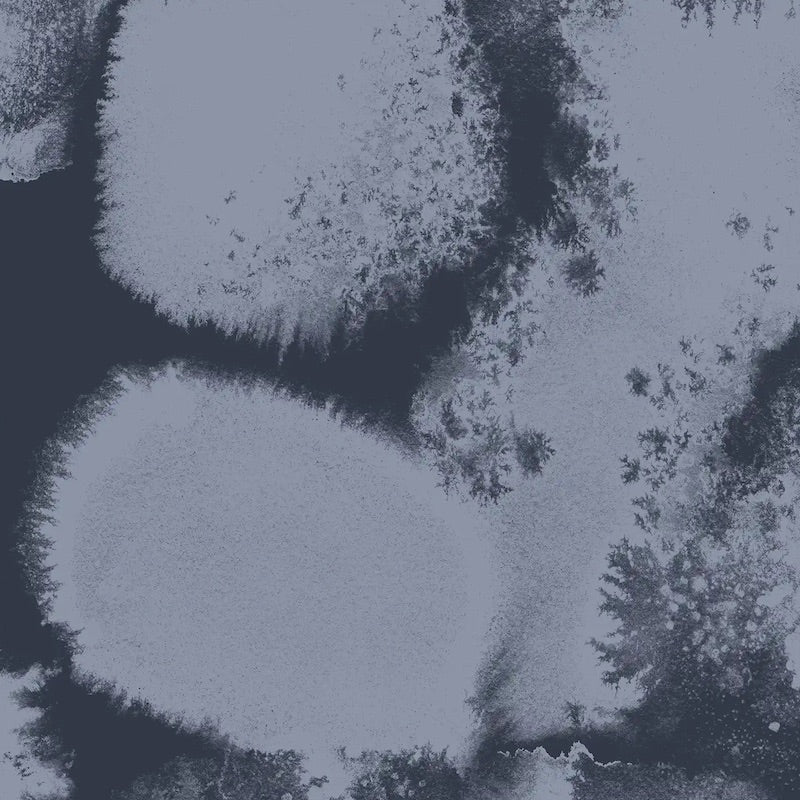 Paapii - Organic Cotton Jersey Interlock - Basaltti Snow - Brook