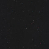 Essex Speckle - Various Colors