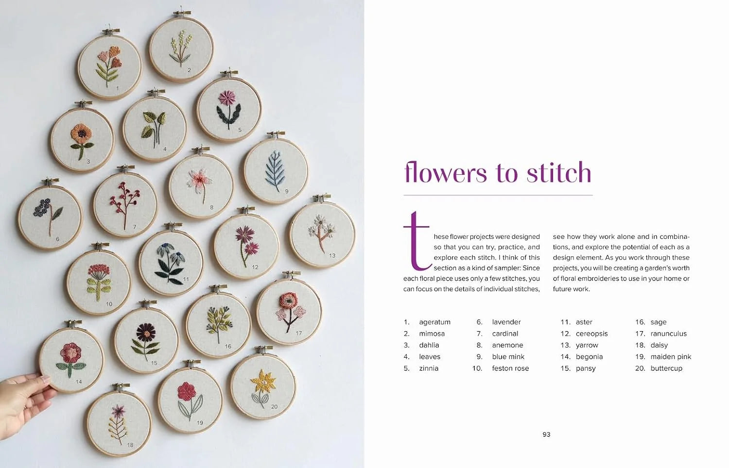 Botanical Embroidery - Arounna Khounnoraj