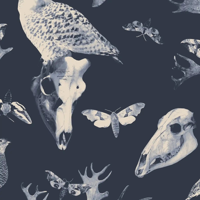 Pattern of owls, moths, and animal skulls on a dark fabric