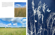 Botanical Cyanotype: A Guide to the Art of Sun Printing - Sarah Bourne Rafferty