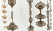 Ruth Asawa: Life's Work - Tamara Schenkenberg