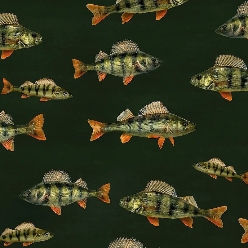 Paapii - Organic Cotton Brushed Fleece - Perches - Coniferous