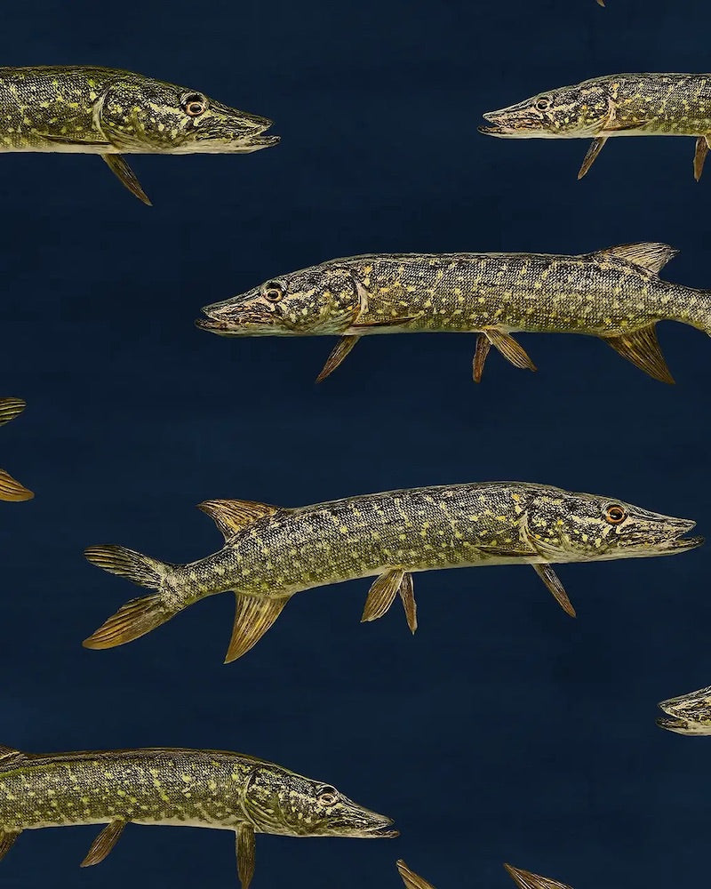 Paapii - Organic Cotton Sweatshirt Knit - Pikes - Storm