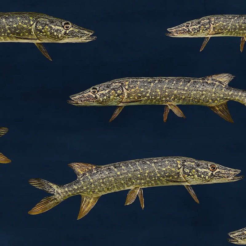 Paapii - Organic Cotton Sweatshirt Knit - Pikes - Storm