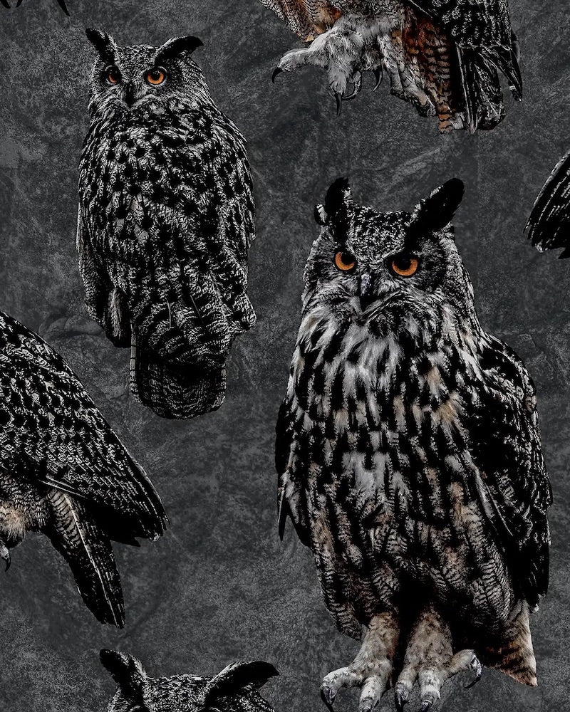 SALE - Paapii - Organic Cotton Brushed Fleece - Eagle-Owls - Shadow