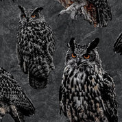 SALE - Paapii - Organic Cotton Brushed Fleece - Eagle-Owls - Shadow